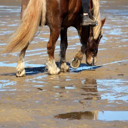 Quartier Hohe Geest 9 - Wolke 9 Cuxhaven
