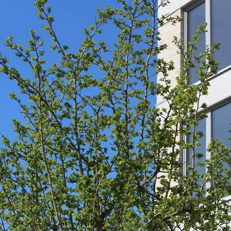 Quartier Hohe Geest 9 - Wolke 9 Apartamento
